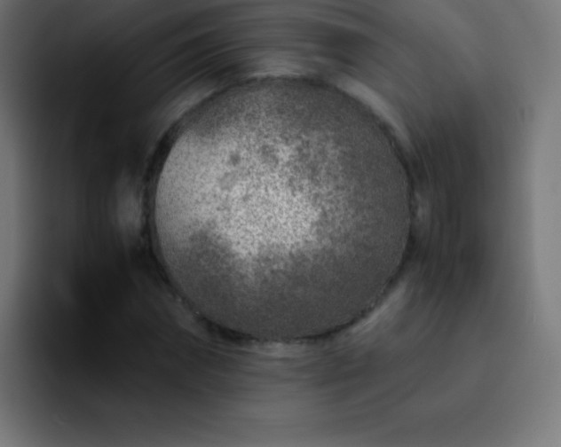 X0000093100874200710031828