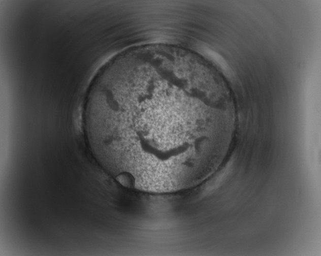 X0000093100875200710031828