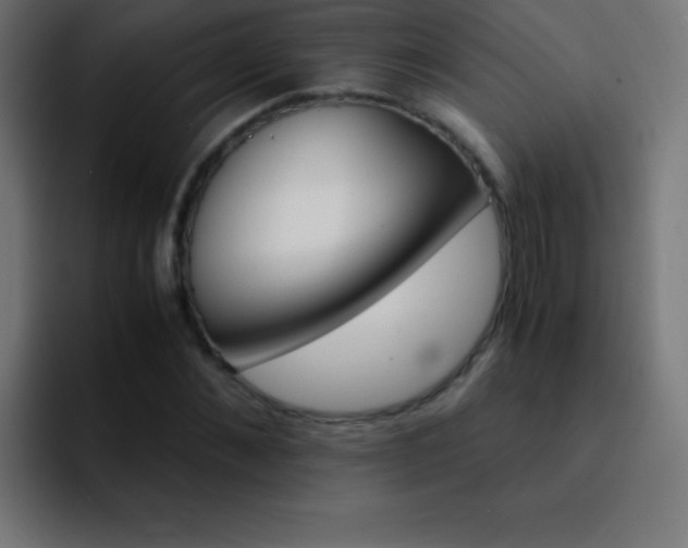 X0000093100876200710031828