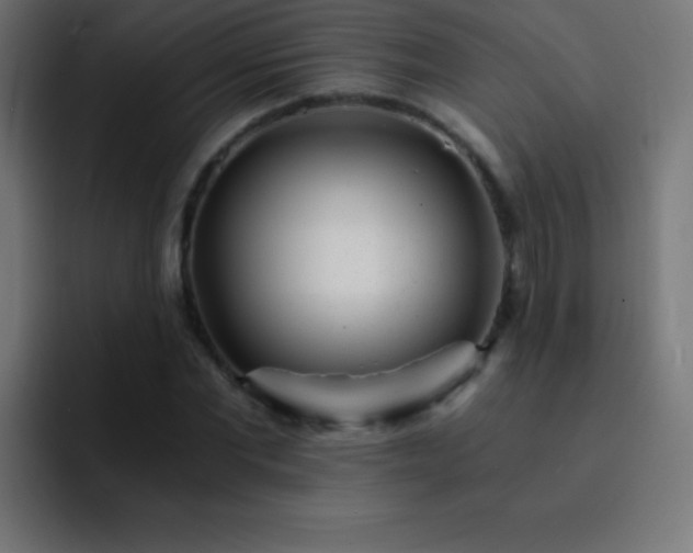 X0000093100877200710031828