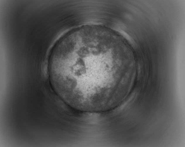 X0000093100878200710031828