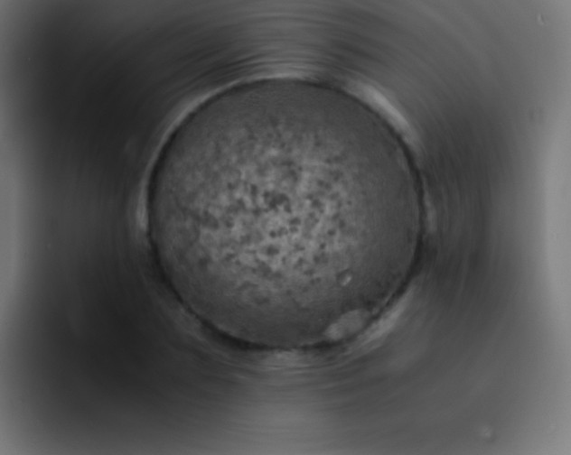 X0000093100883200710031828