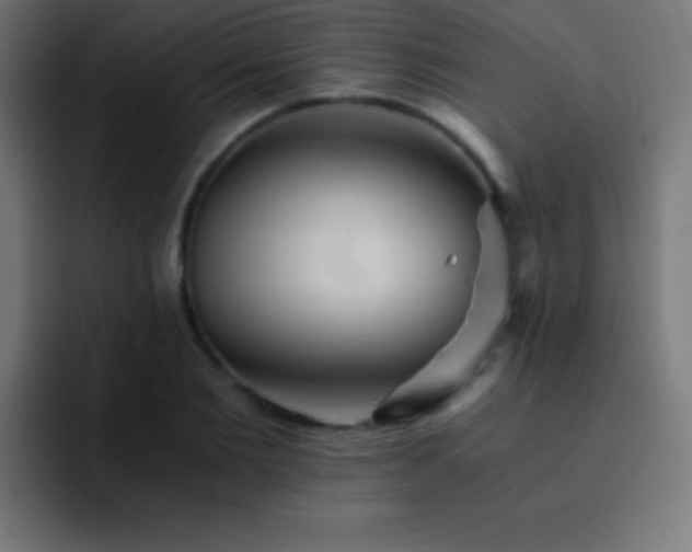 X0000093100885200710031828