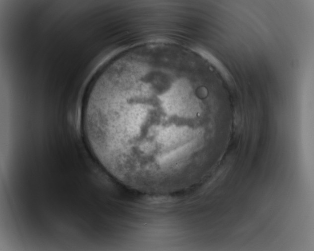 X0000093100886200710031828