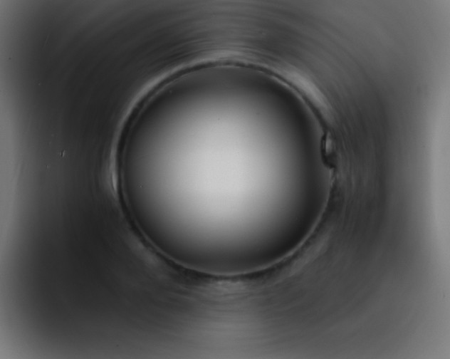 X0000093100888200710031828
