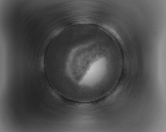 X0000093100889200710031828
