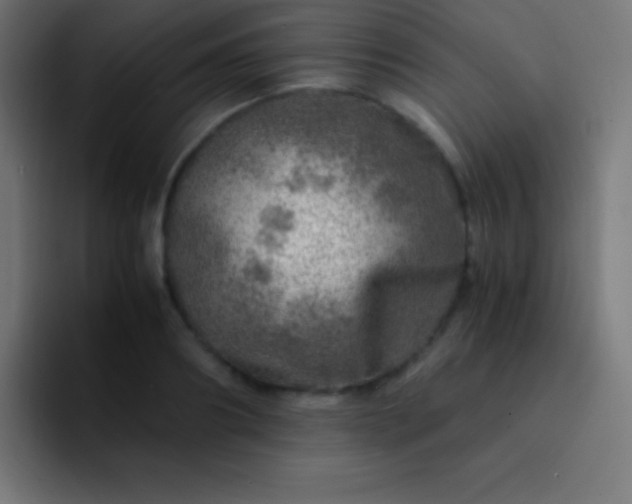 X0000093100890200710031828