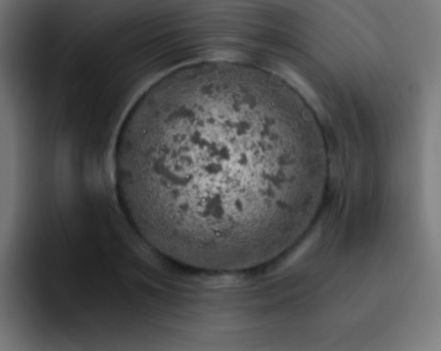 X0000093100891200710031828