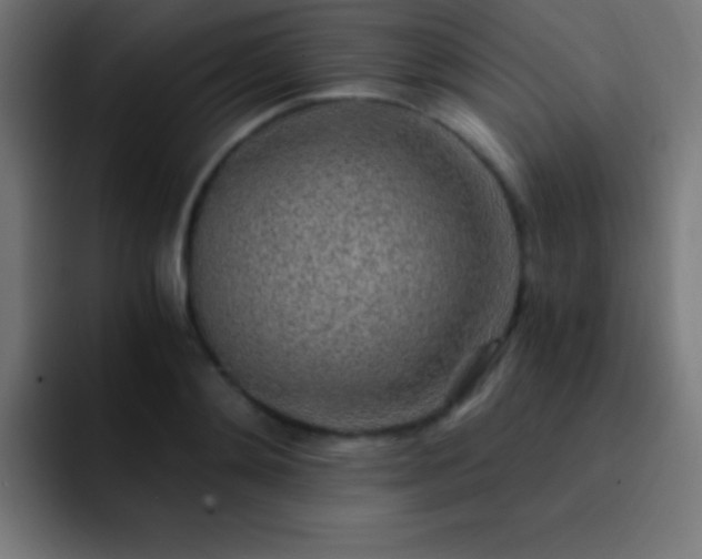 X0000093100892200710031828