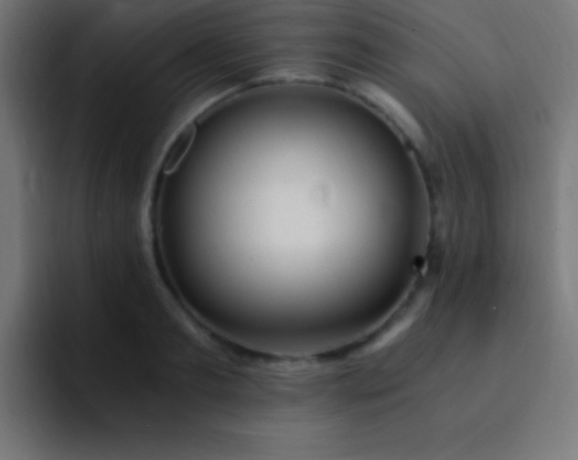 X0000093100893200710031828