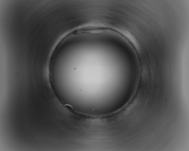 X0000093100896200710031828