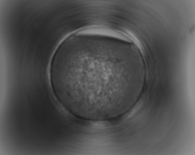 X0000093100899200710031828