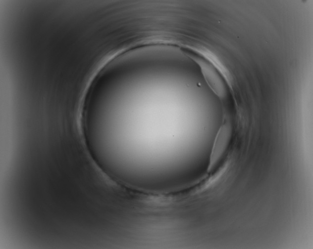X0000093100901200710031828