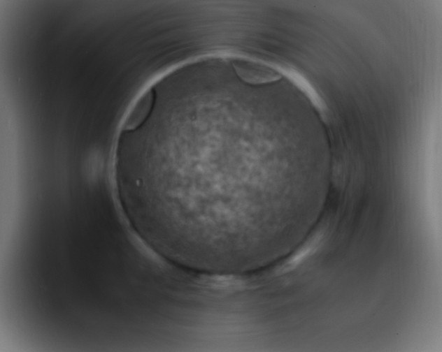 X0000093100903200710031827