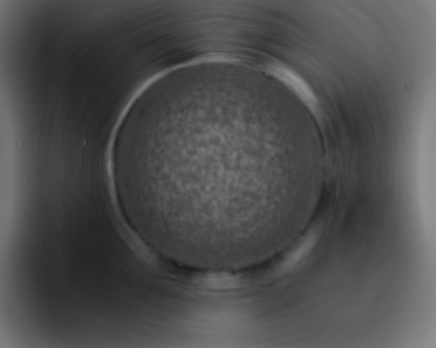 X0000093100907200710031827