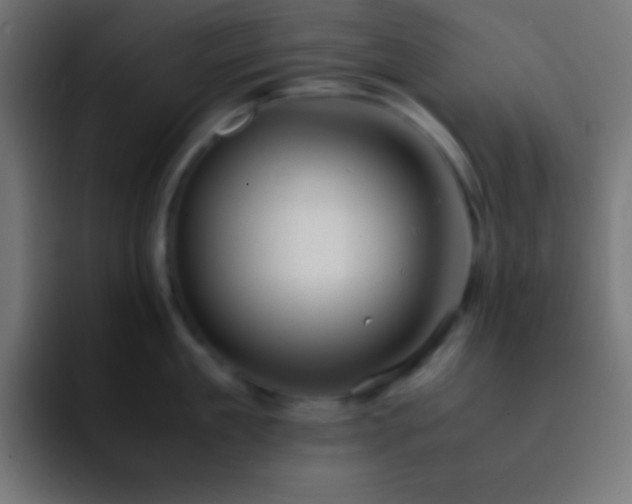 X0000093100909200710031827