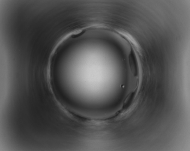 X0000093100910200710031827