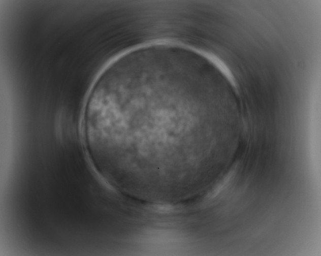 X0000093100911200710031827