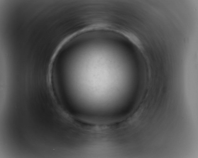 X0000093100912200710031827