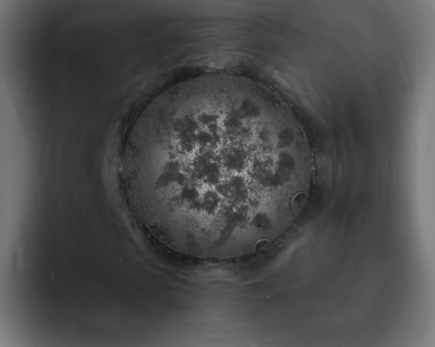 X0000093100913200710031827