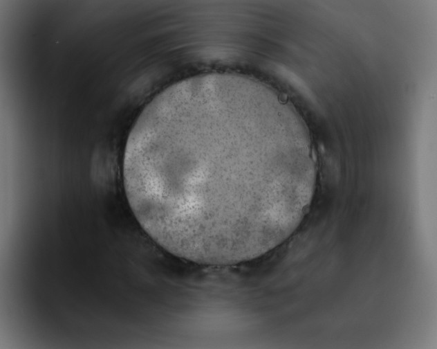 X0000093100918200710031827