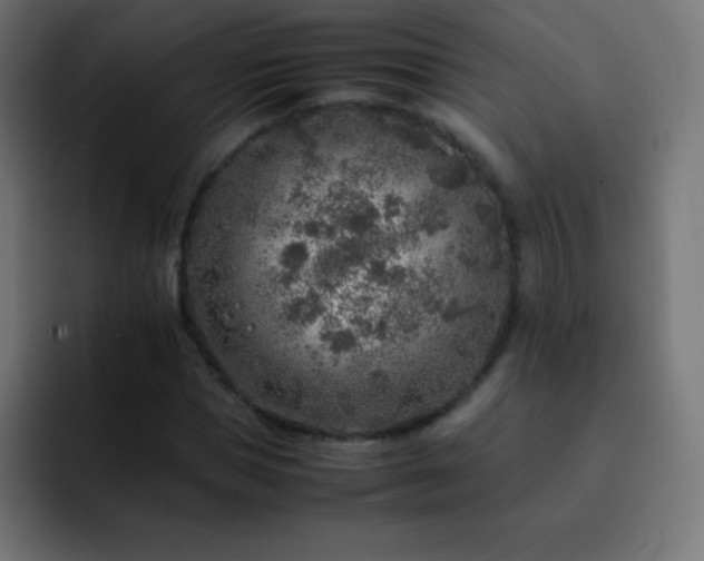 X0000093100921200710031827