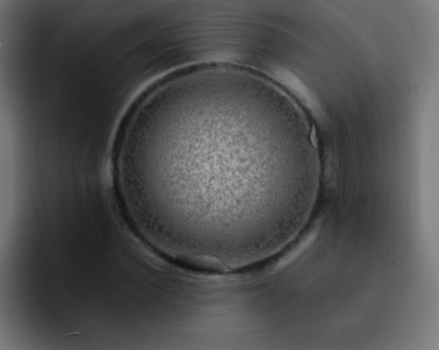 X0000093100924200710031827