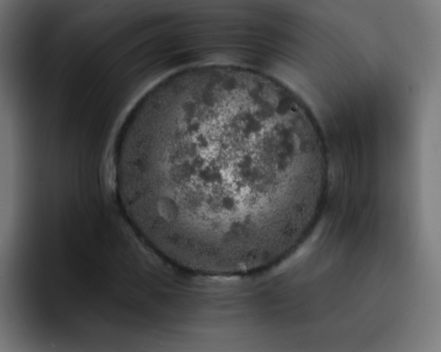 X0000093100925200710031827