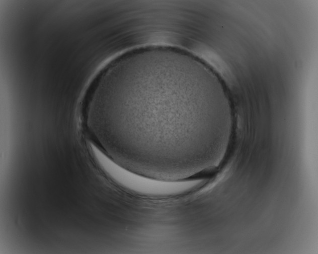 X0000093100926200710031827