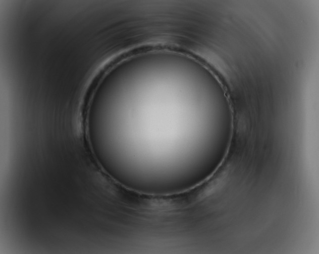 X0000093100927200710031827