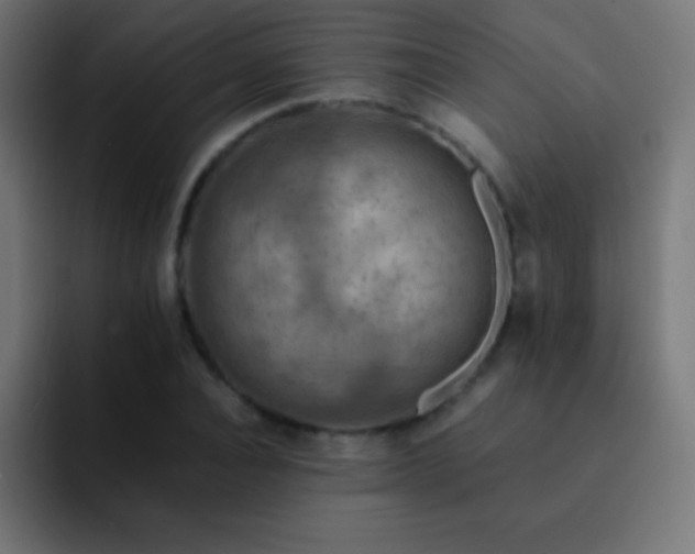 X0000093100928200710031827