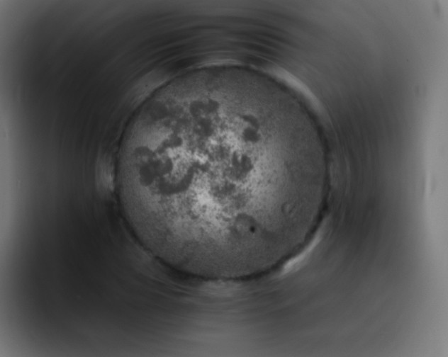 X0000093100929200710031827