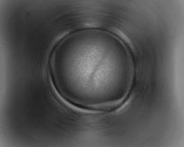 X0000093100930200710031827