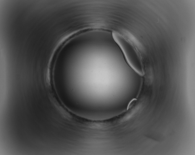 X0000093100932200710031827