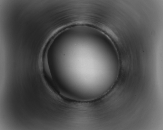 X0000093100934200710031827