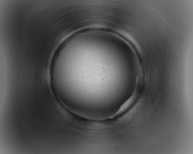 X0000093100935200710031827
