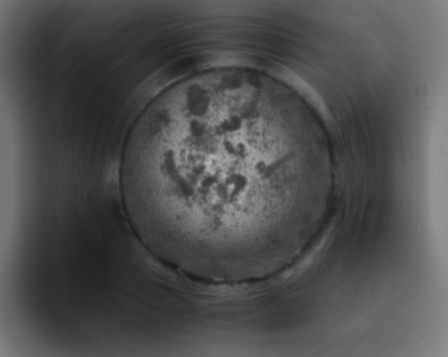 X0000093100937200710031827