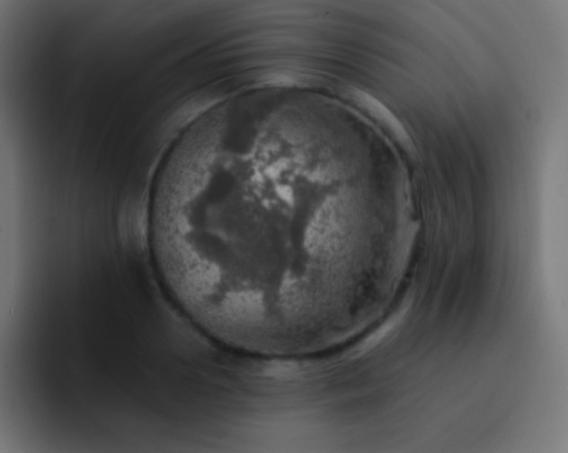 X0000093100938200710031827