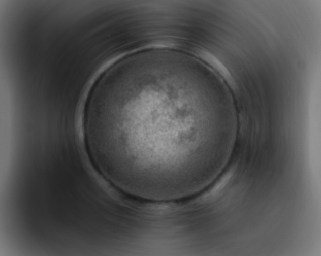 X0000093100939200710031827