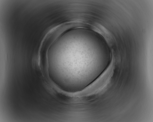 X0000093100940200710031827