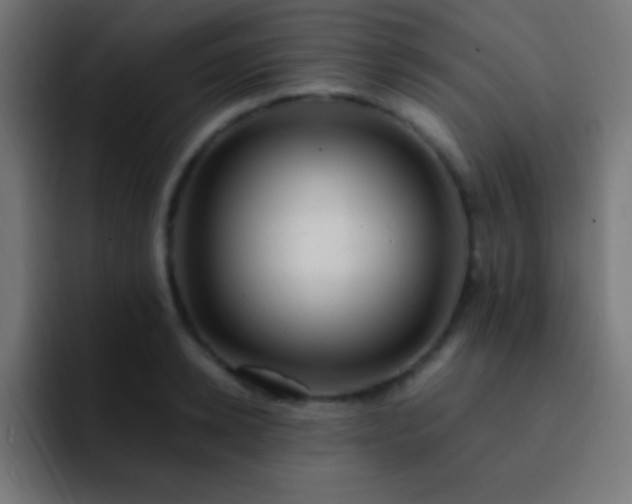 X0000093100942200710031827