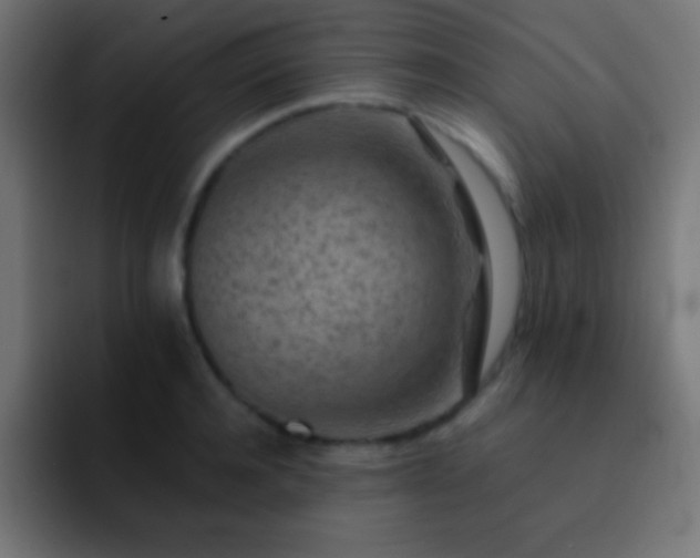 X0000093100944200710031827