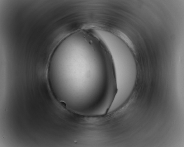 X0000093100946200710031827