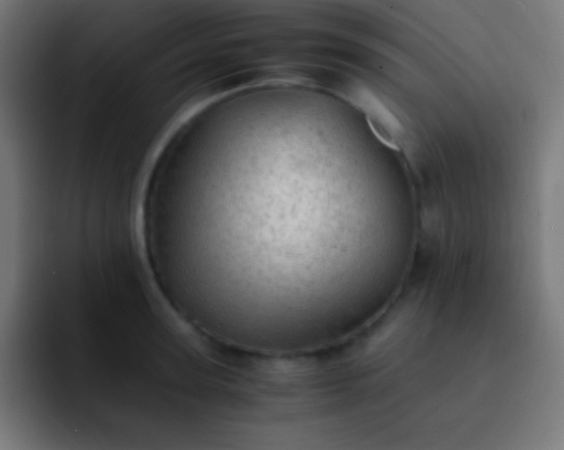 X0000093100947200710031827