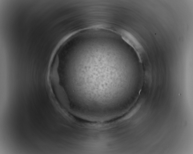 X0000093100948200710031827