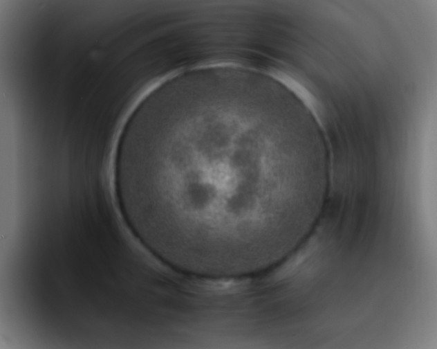 X0000093100949200710031827