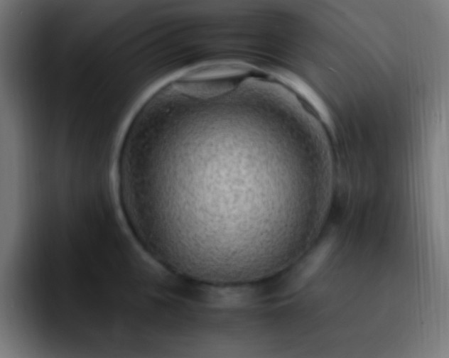 X0000093100951200710031827
