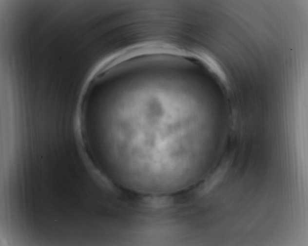 X0000093100952200710031827