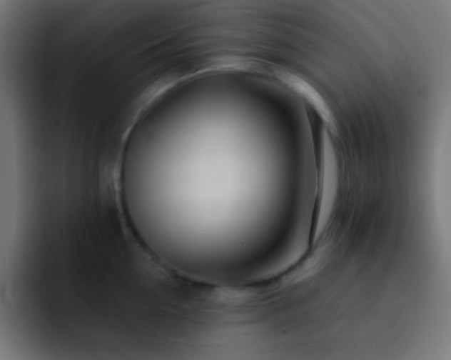 X0000093100954200710031827