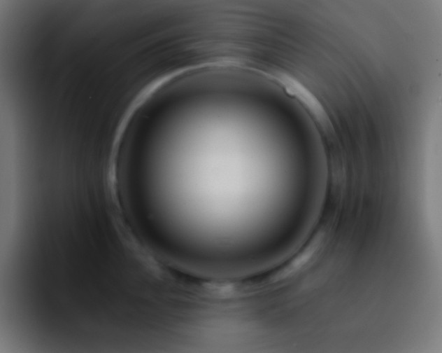 X0000093100956200710031827